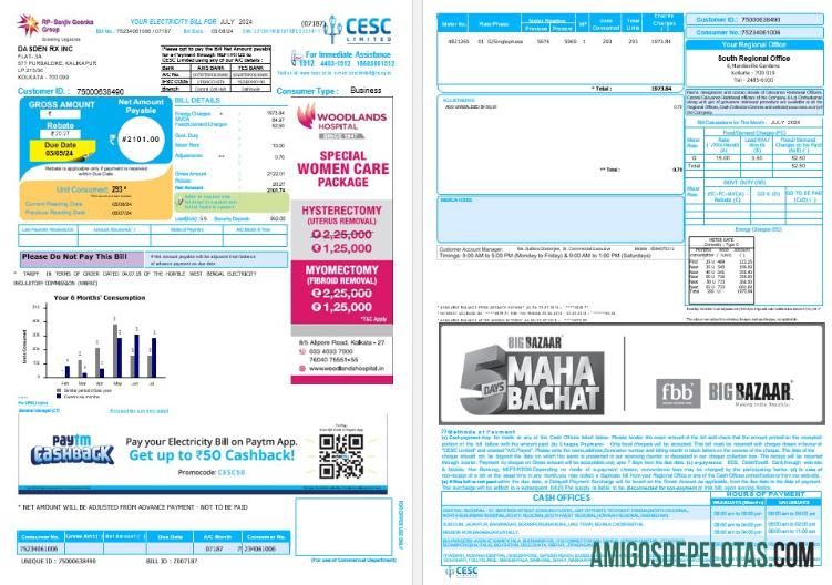 ÍNDIA CESC LIMITED Palavra e PDF da fatura de serviços públicos comerciais exemplo